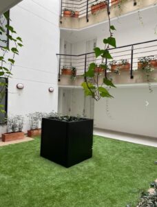 Foto 11